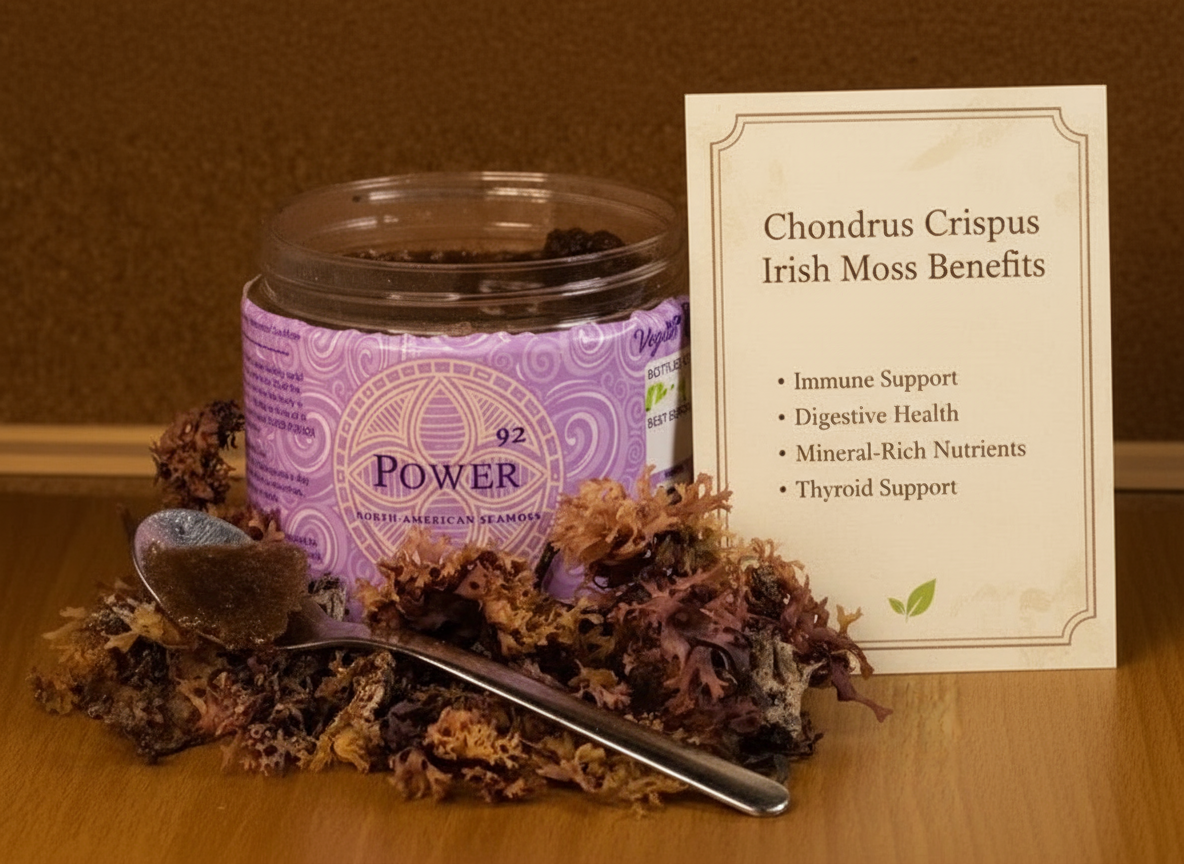 Chondrus Crispus Irish moss gel